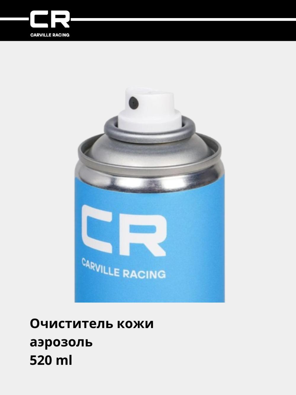 Очиститель кожи, аэрозоль, 520 ml (S6301866) 2