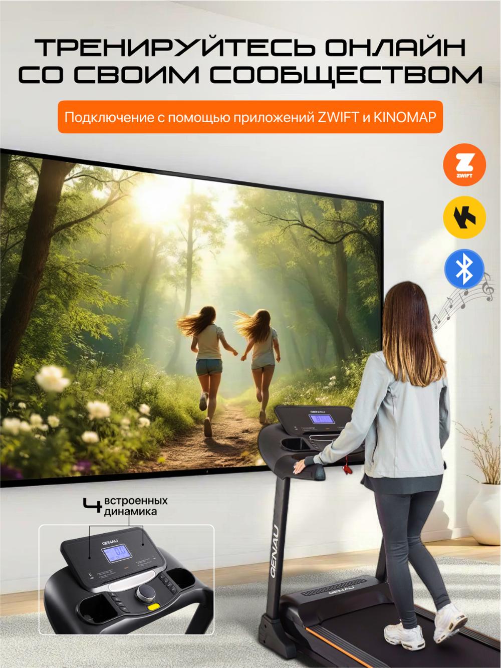 Беговая дорожка Genau Everest D1000S *RT2-05A 2