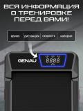 Беговая дорожка Genau New Stride *RT2-19A 4