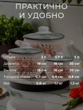 Набор кастрюль Лысьвенские эмали, 2, 3.5, 5 литр 2