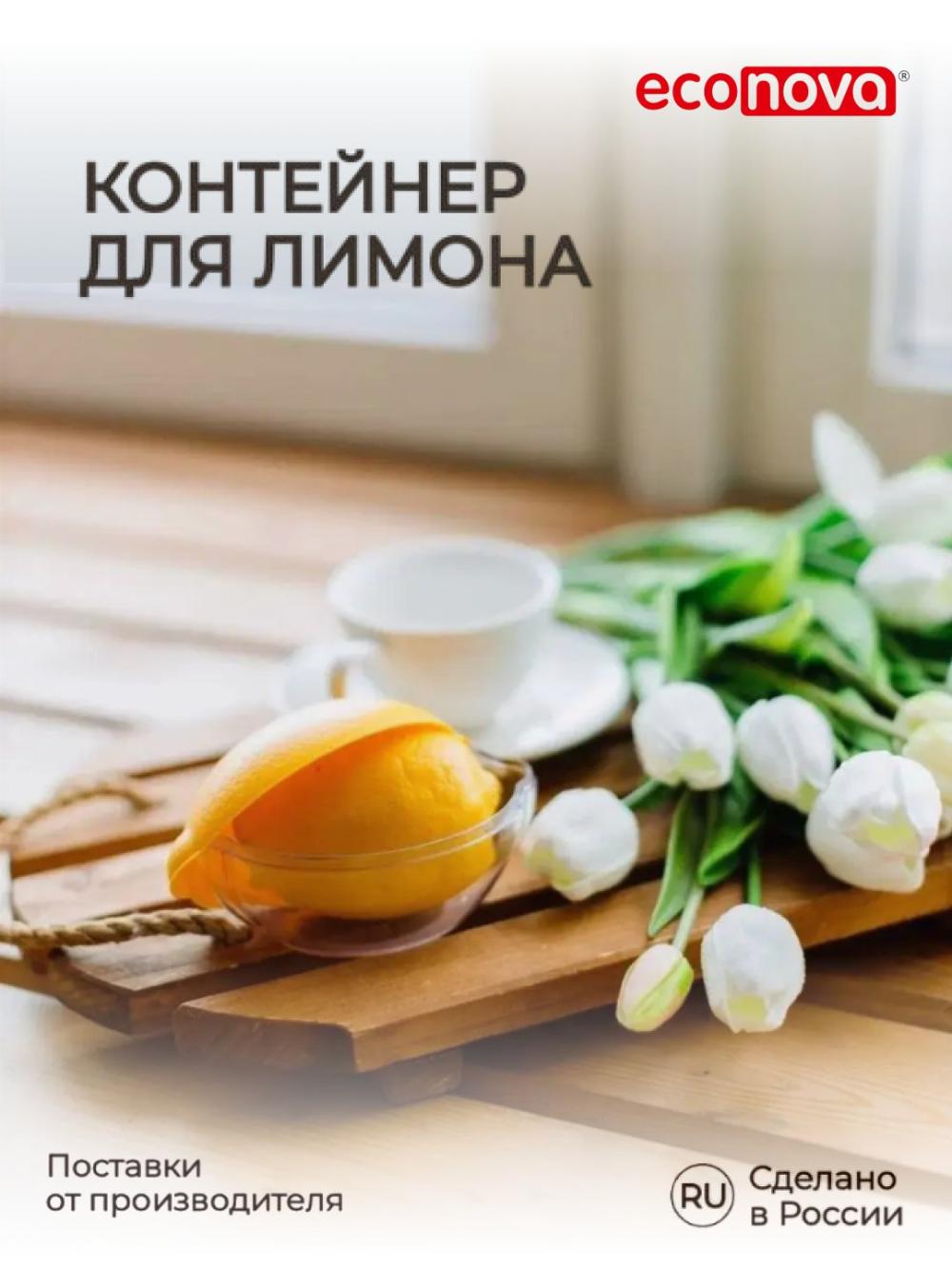 Контейнер для лимона 1