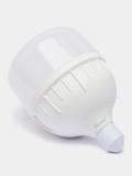 LED chiroq Lezard, 40 Vt, 6400K E27 3