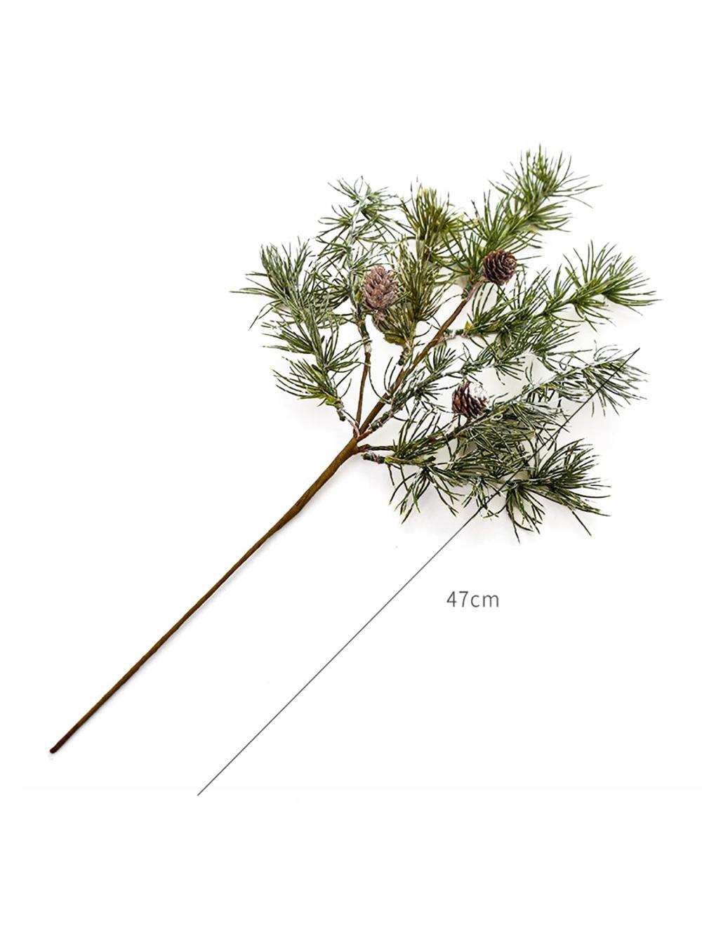 Archa shoxi, 47 sm 1
