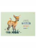 Альбом для рисования  "Animals" 08л., А4, на скрепке BG АР4ск8_10918. Цена указана за единицу товара 5