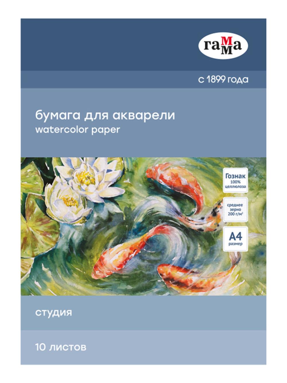 Akvarel papkasi, 10 varaq, A4 "Studio", 200g/m2, o'rtacha don Гамма 40C03F710W 1