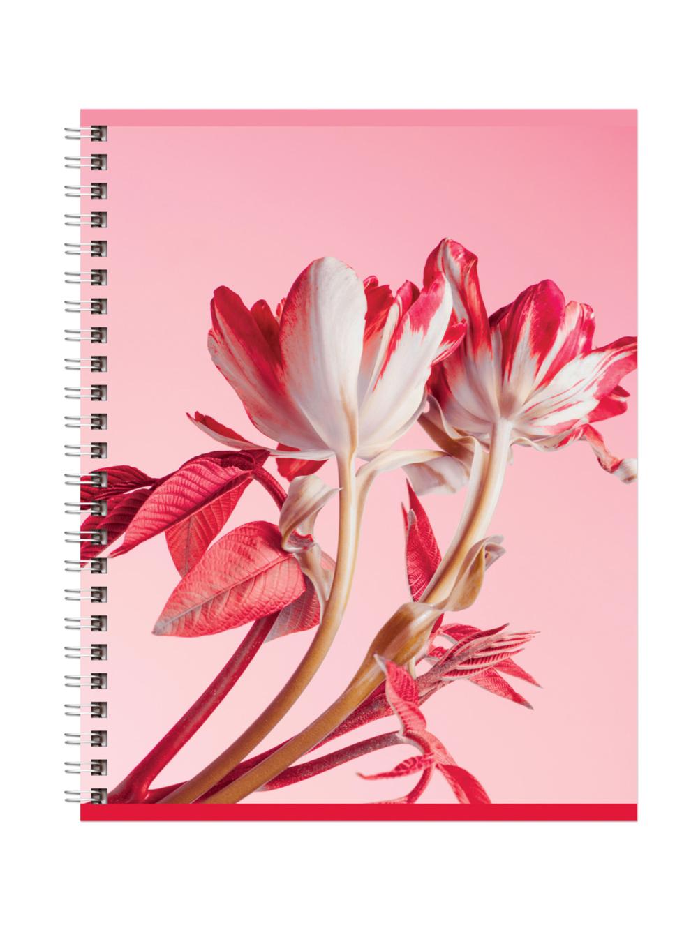 Тетрадь 80л., А5, клетка на гребне BG "Perfect flower", двойная обложка Т5гр80_2_11946 1