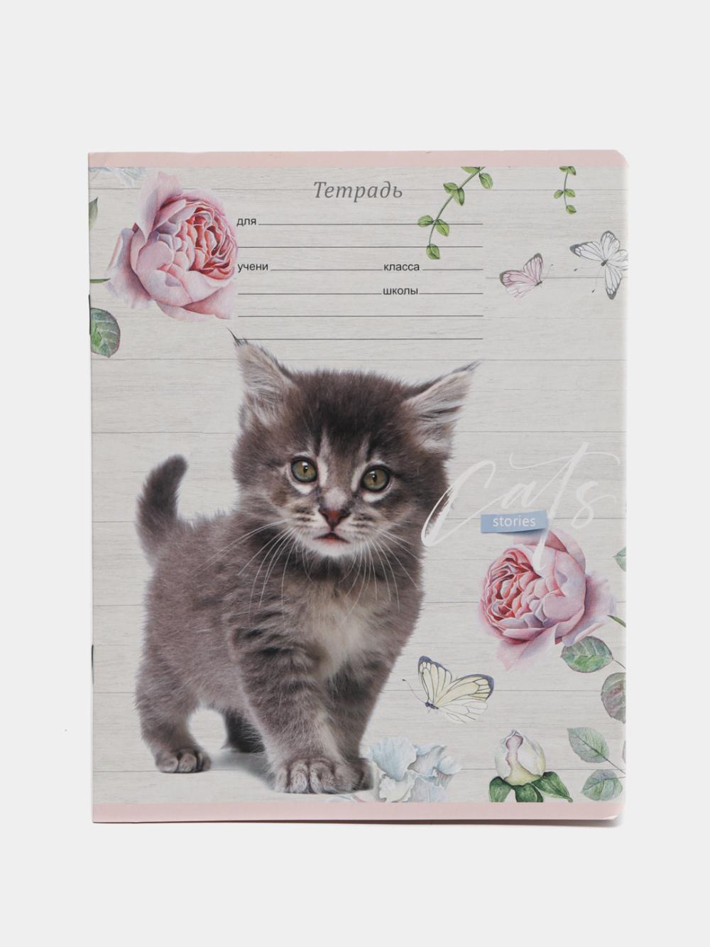 Тетрадь 12л., косая линия BG "Cat story" Т5ск12_7015 1