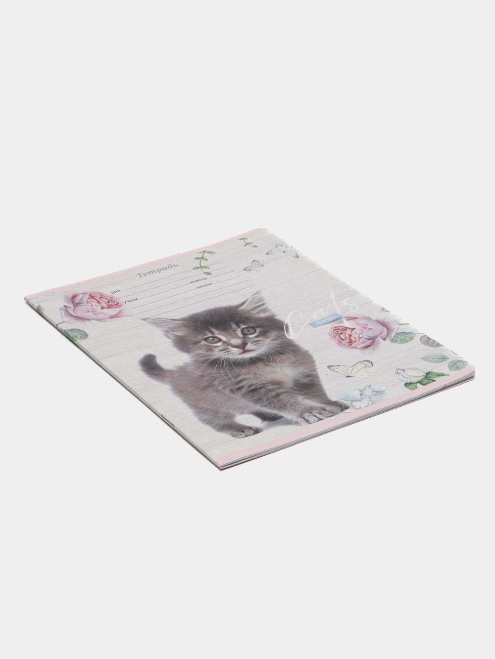 Тетрадь 12л., косая линия BG "Cat story" Т5ск12_7015 3