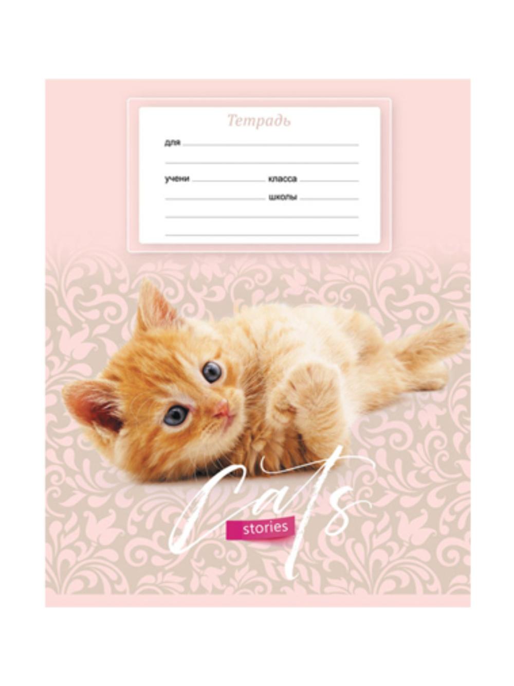 Тетрадь 12л., косая линия BG "Cat story" Т5ск12_7015 1
