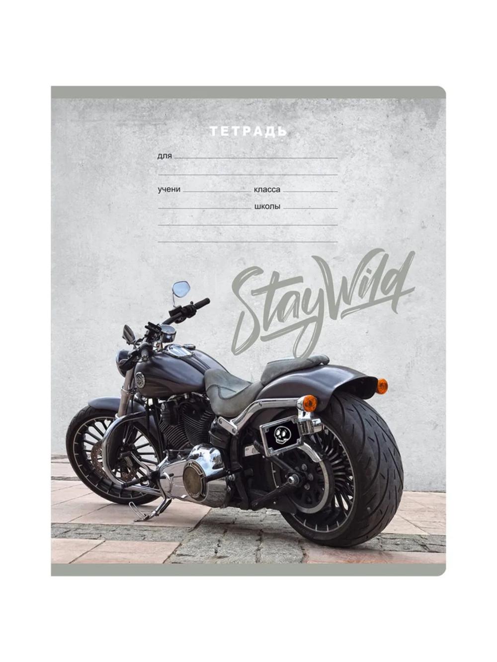 Тетрадь 12л., клетка BG "Stay wild",  Т5ск12_вл_11685 1