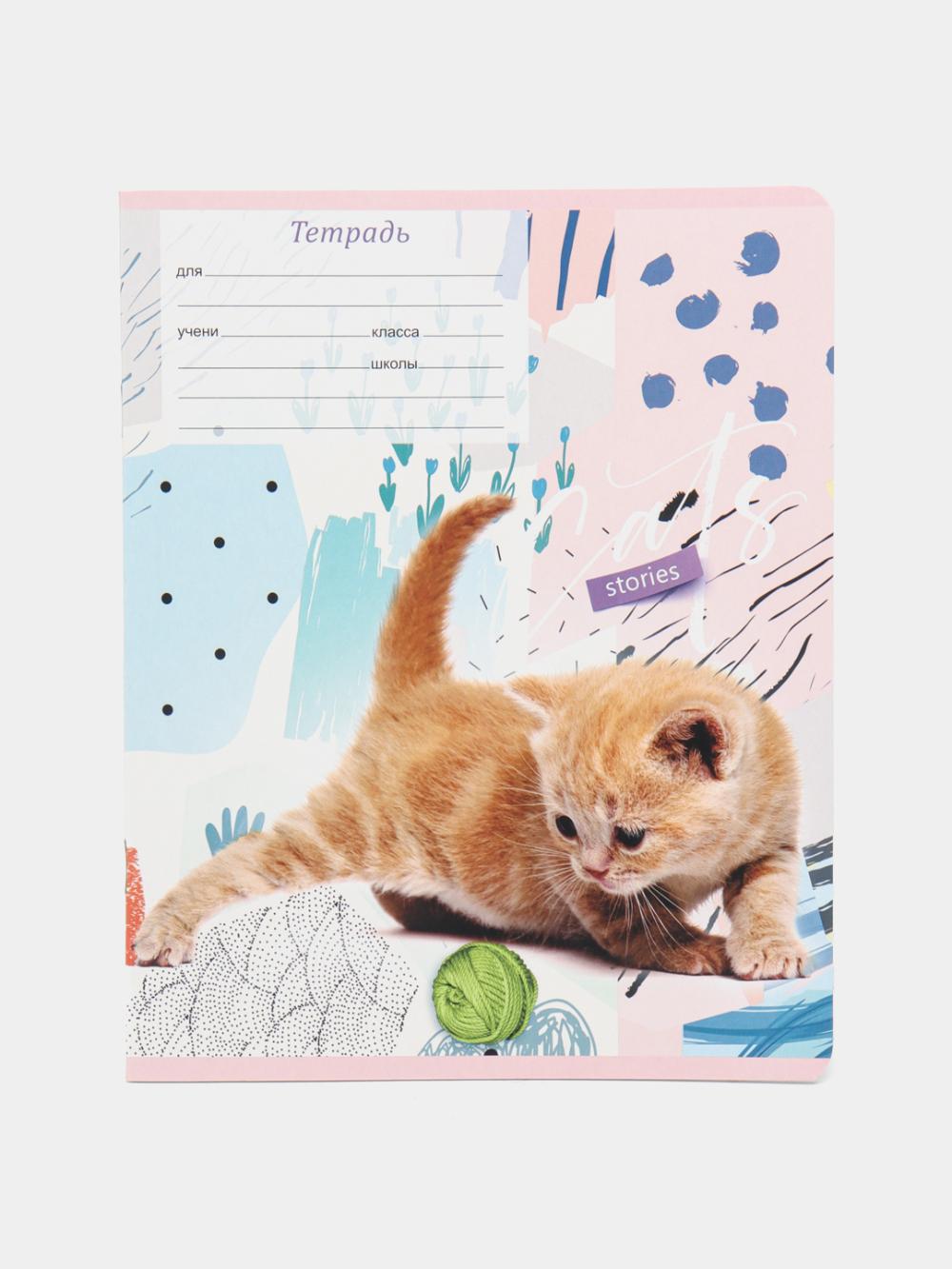 Тетрадь 12л., косая линия BG "Cat story" Т5ск12_7015 1