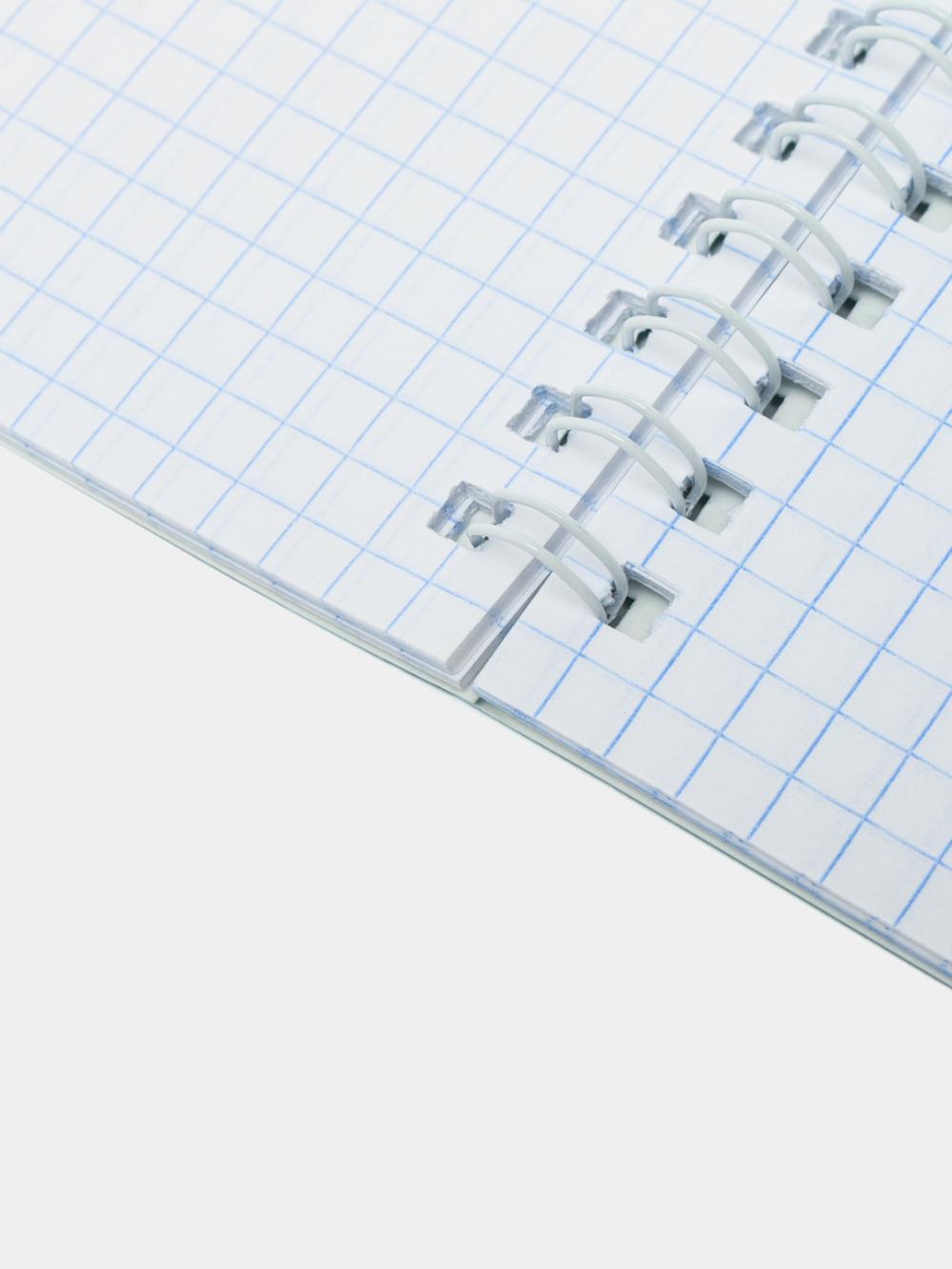 Daftar 48 v., A5, katak BG "Pushti mo'jiza", gologramma folga bilan bo'rttirma Т5гр48_тгф_8445 5
