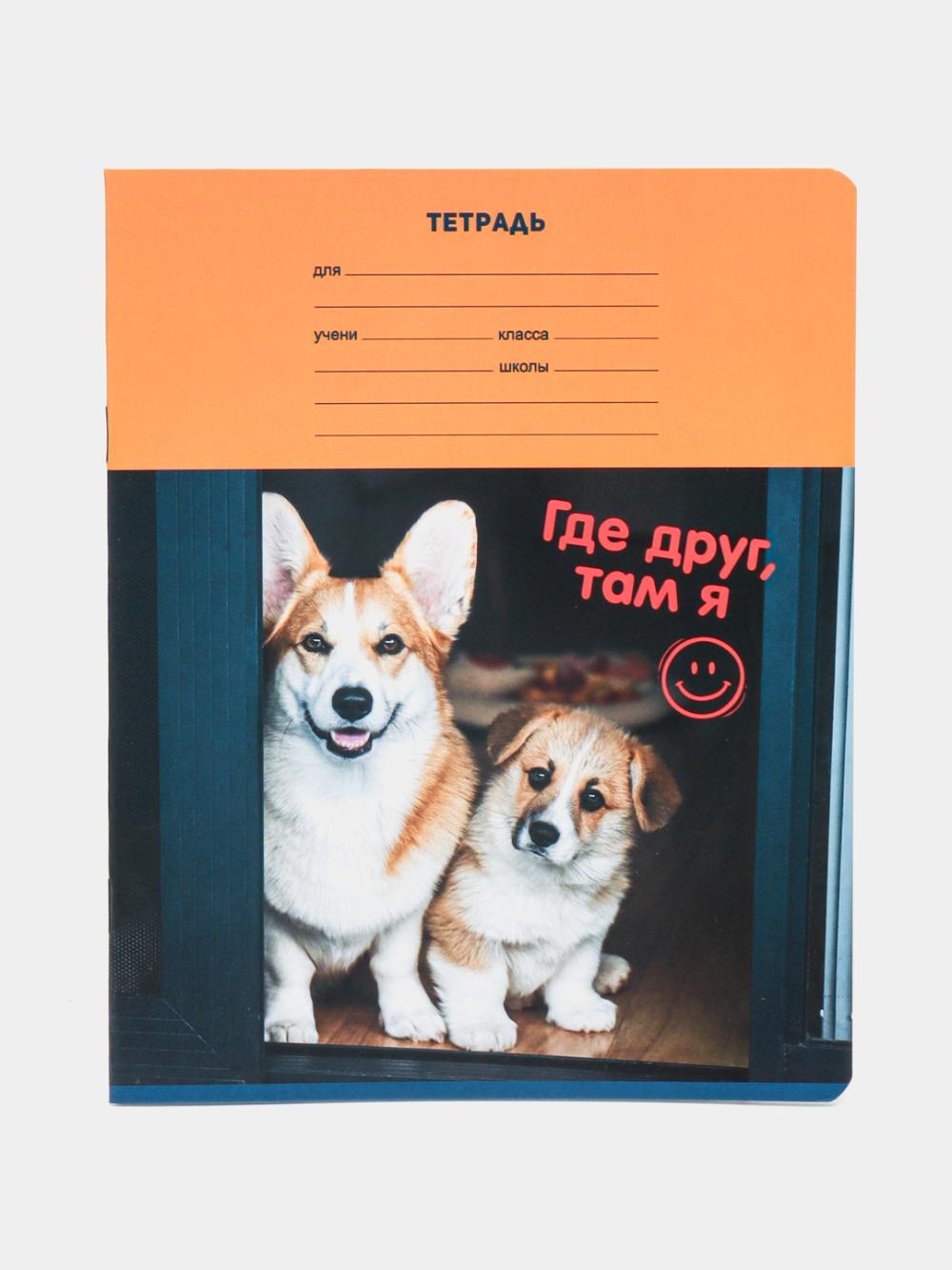 Тетрадь 12л., линия BG "Super Mix-16" Т5ск1211700 1