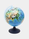Глобус зоогеографический Globen, 25см, на круглой подставке Ке012500269 2