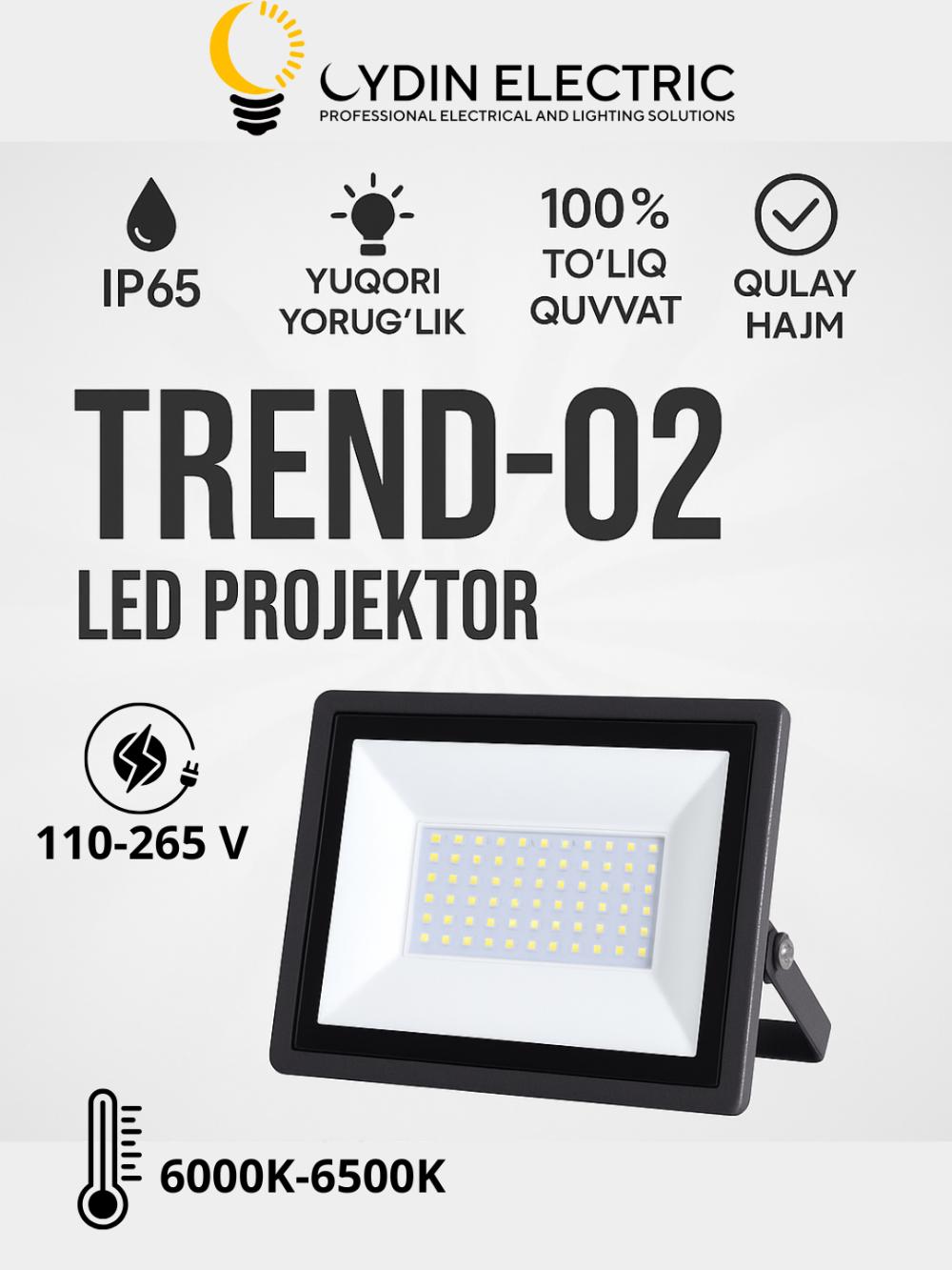 LED, Projektor, OYDIN ELECTRIC, 10W–200W, IP65, 110-250Vgacha, yorug‘lik energiya tejamkor 3