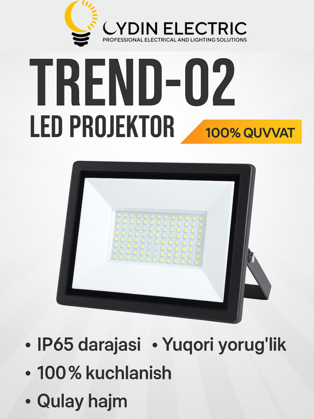 LED, Projektor, OYDIN ELECTRIC, 10W–200W, IP65, 110-250Vgacha, yorug‘lik energiya tejamkor 2