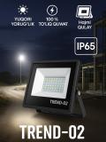 LED, Projektor, OYDIN ELECTRIC, 10W–200W, IP65, 110-250Vgacha, yorug‘lik energiya tejamkor 4