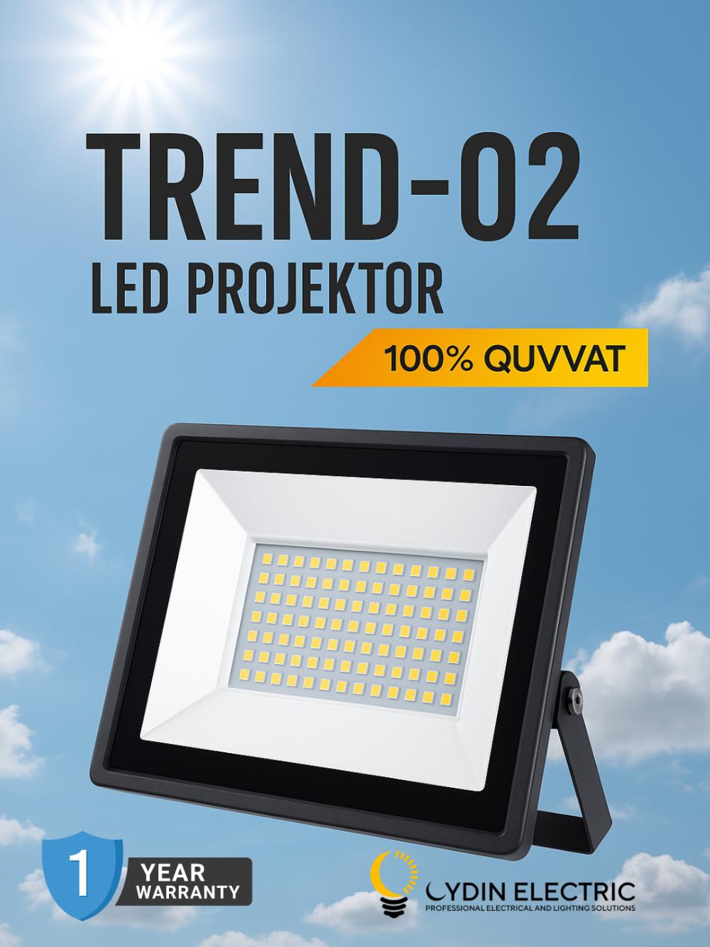 LED, Projektor, OYDIN ELECTRIC, 10W–200W, IP65, 110-250Vgacha, yorug‘lik energiya tejamkor 1