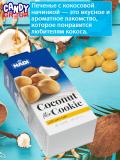 Turli NADI masalliqli mini pechenye, 250 gr, Eronda tayyorlangan 2