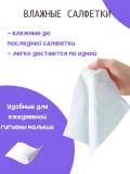 Влажные салфетки Bloomy, 120 шт., антибактериальные. Аромат: For Men. (Цена указана за 5 упаковок) 2