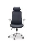 Ofislar uchun ergonomik ofis kreslosi OSLO 2