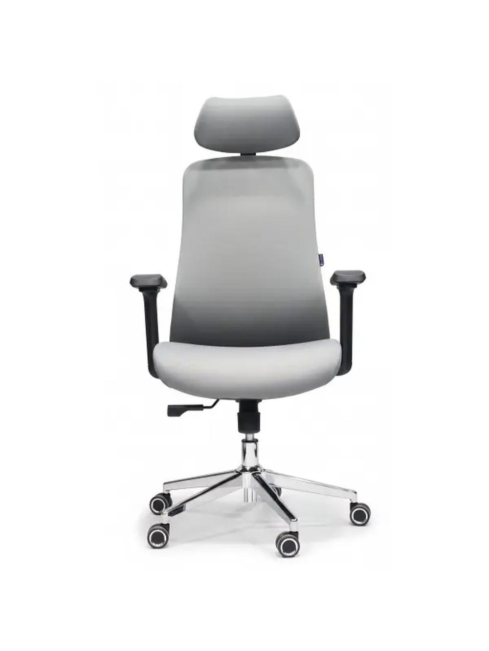 Ofislar uchun ergonomik ofis kreslosi LUNA GREY 1