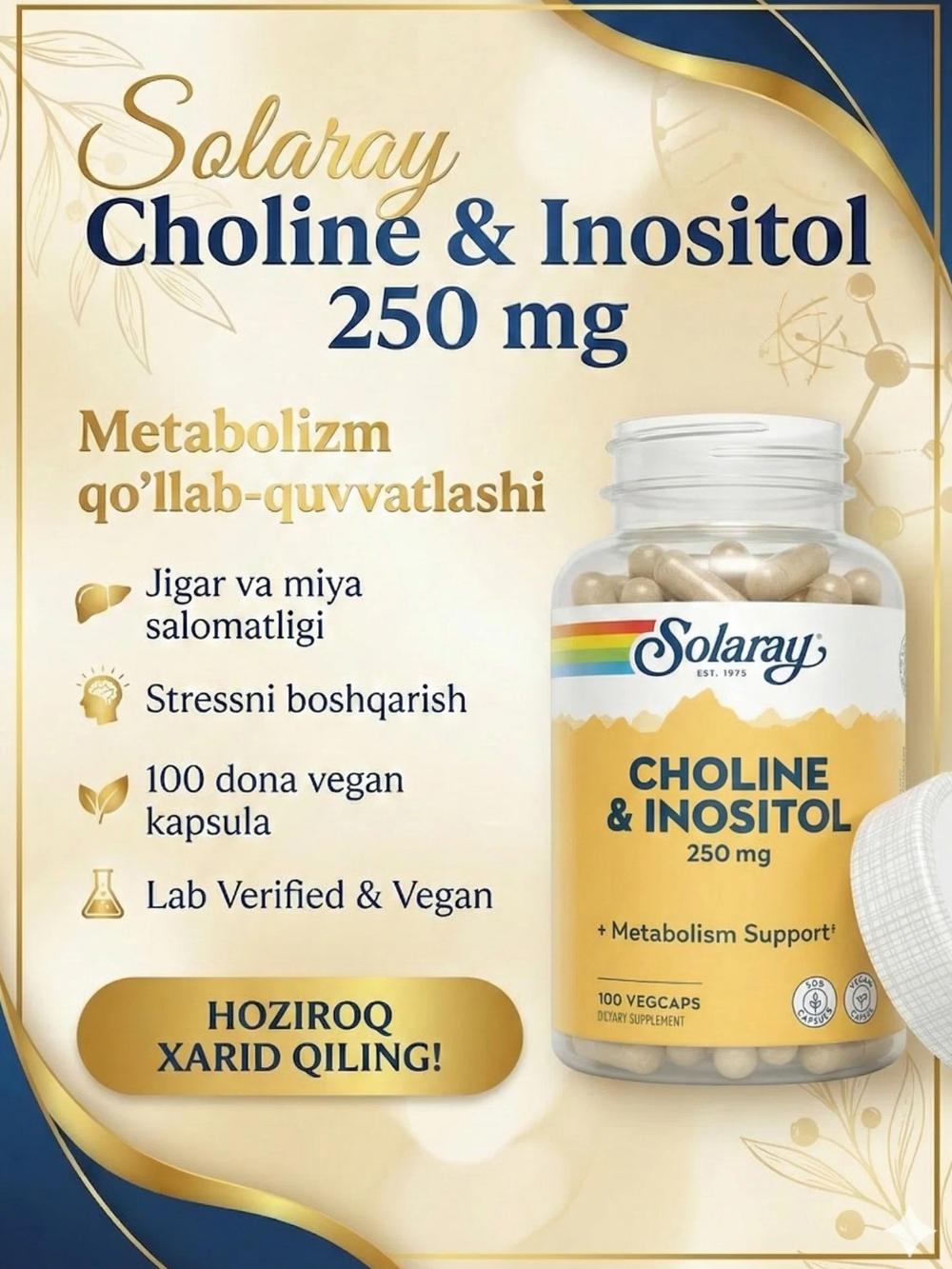 Solaray Choline Inositol 250 mg 100 VegCaps — Холин и инозитол, 100 растительных капсул 5133326012 1